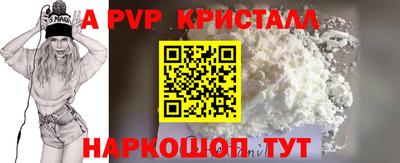 стаф Можга