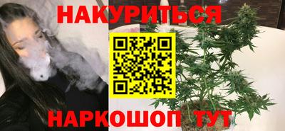 стаф Можга