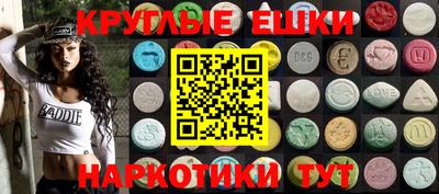 стаф Можга