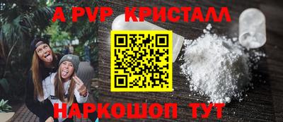 стаф Можга