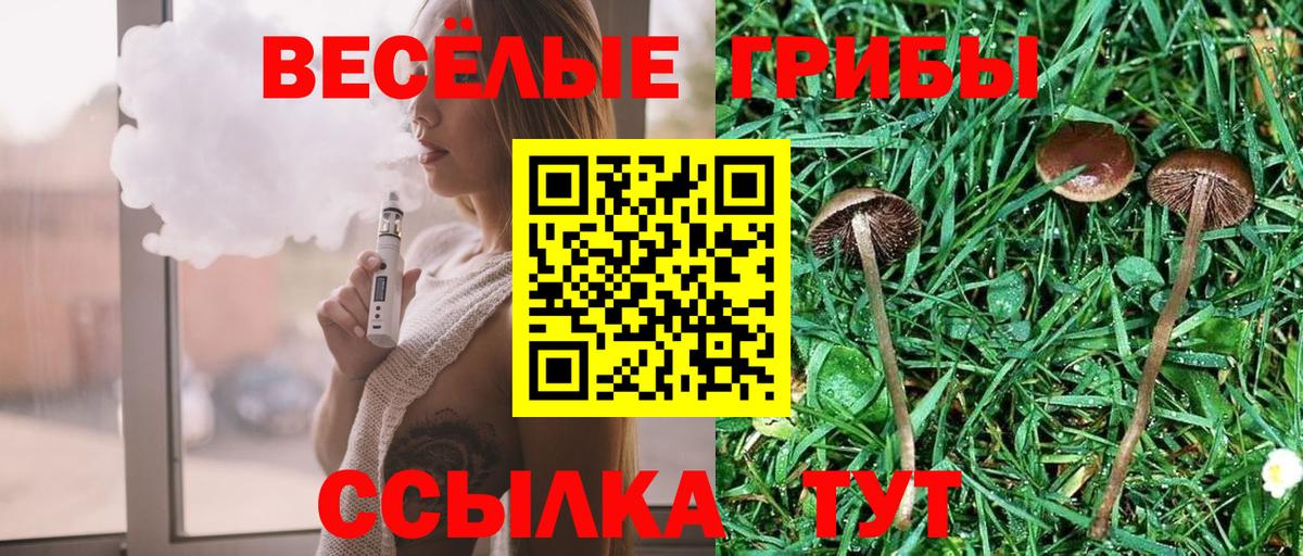где найти   Вход с VPN  Аксай  Галлюциногенные грибы Psilocybine cubensis  Псилоцибиновые грибы GOLDEN TEACHER 